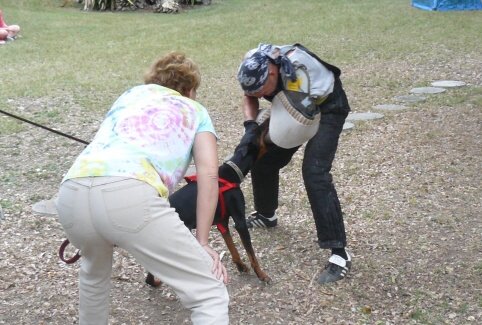 Seminar on Virgin Islands 2008